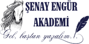 Şenay Engür Akademi